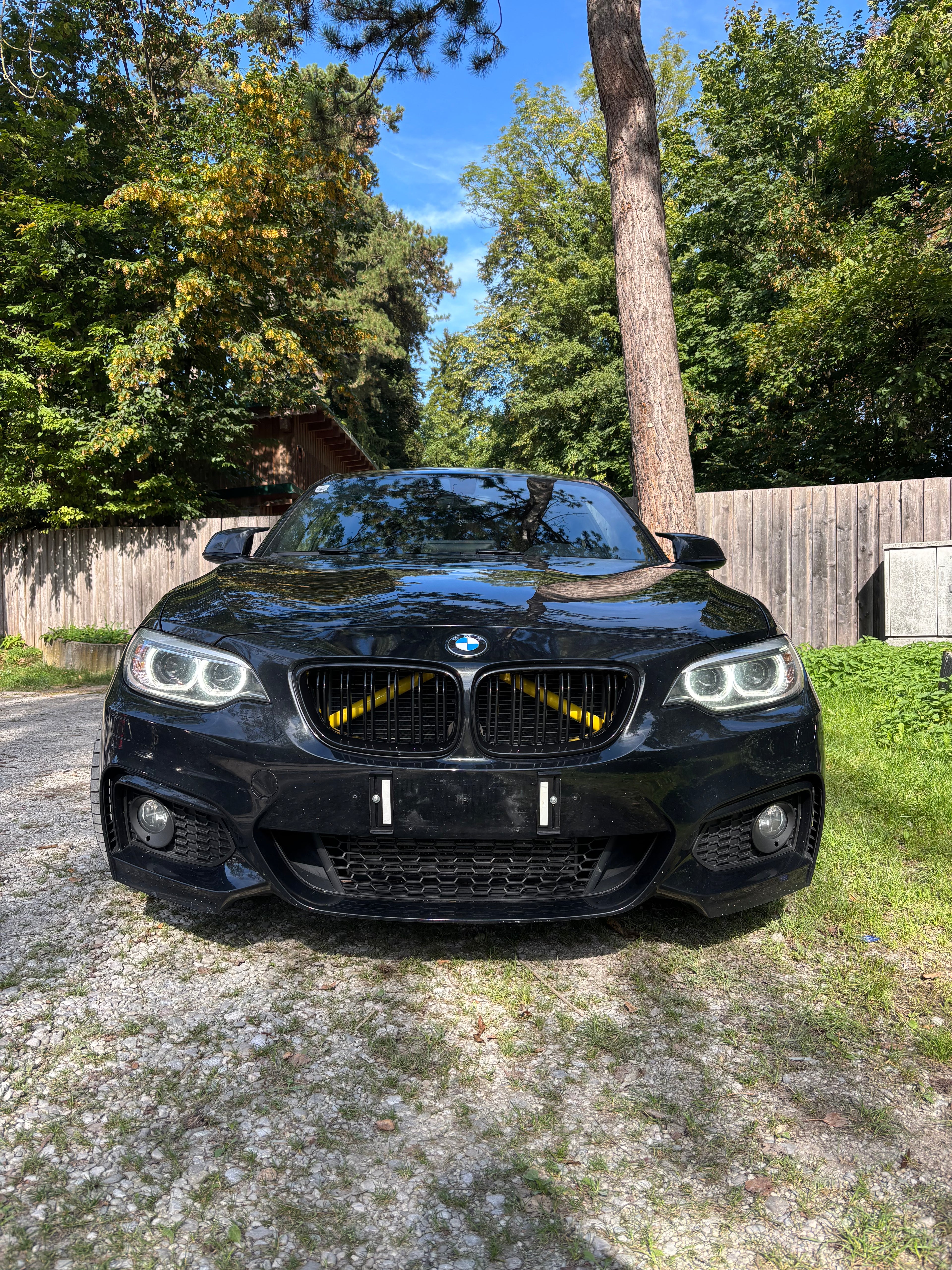 F2X Doppelsteg-Nieren