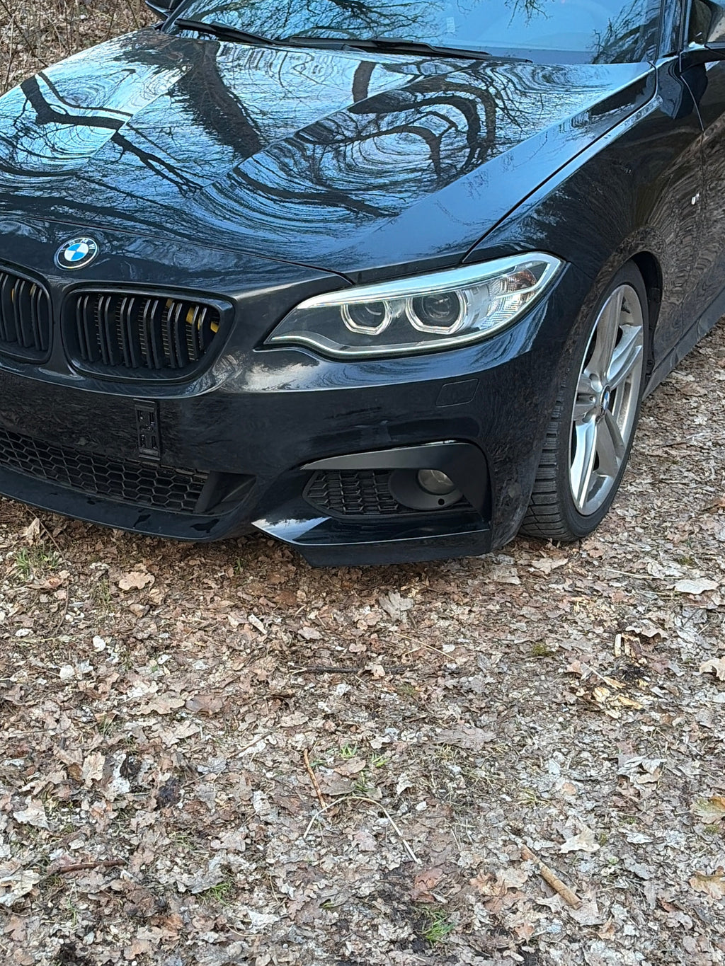 F2X | M2-Optik Flaps