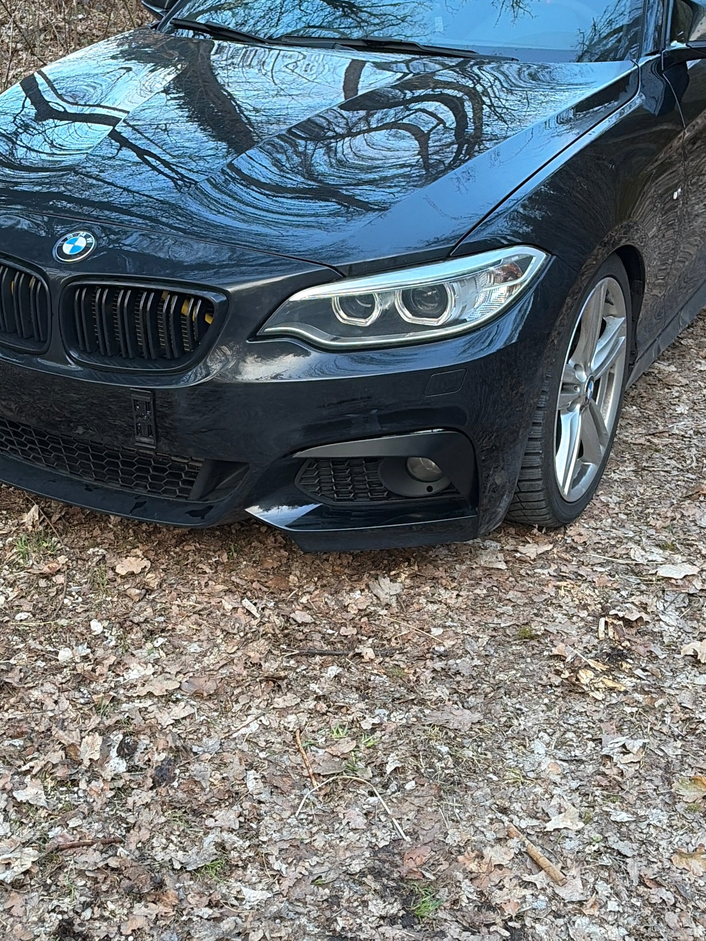 F2X | M2-Optik Flaps