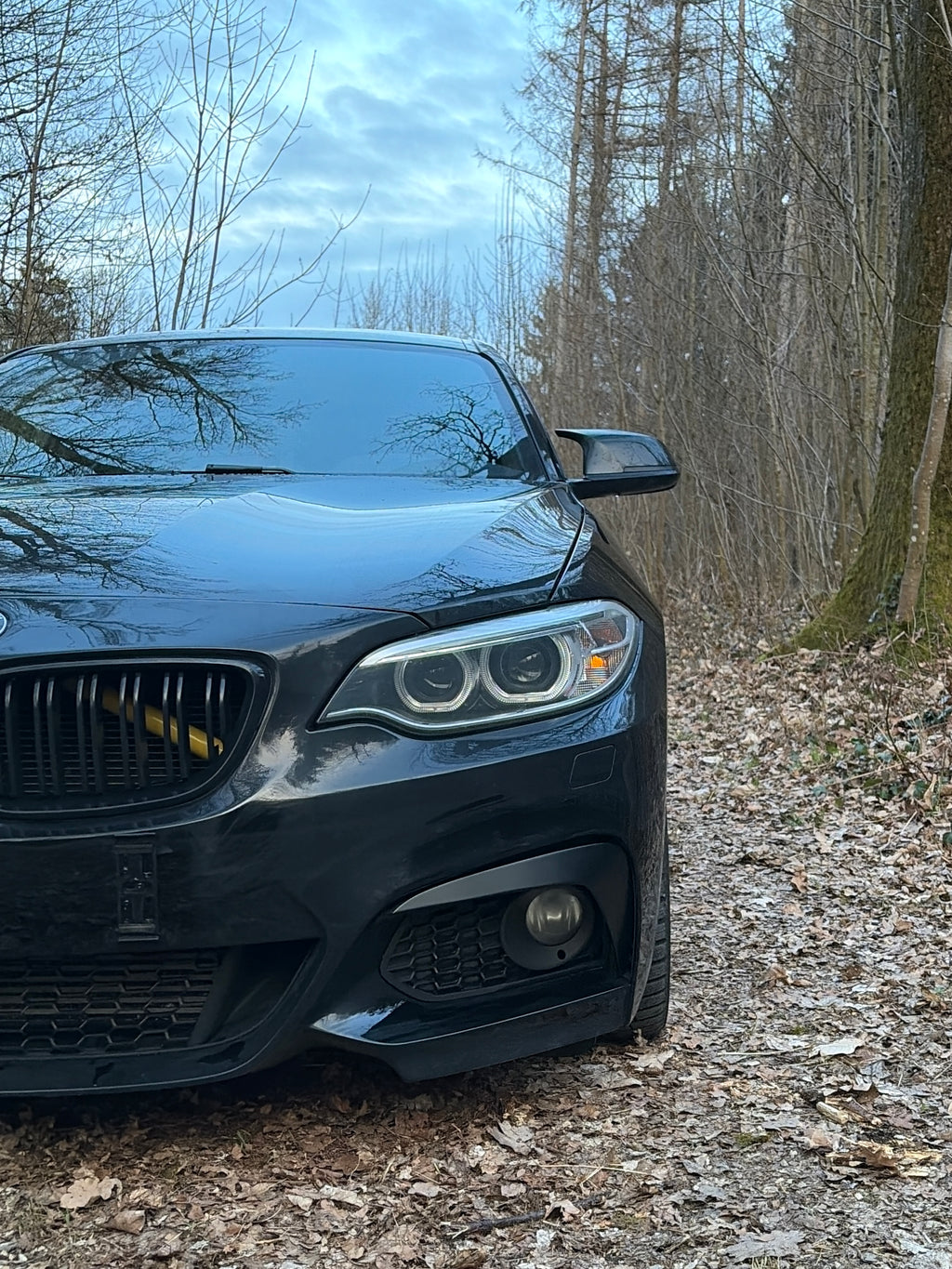 F2X | M2-Optik Flaps