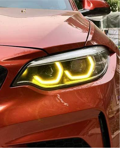 I6- Switchback DRL Modul F22/23 F87 M2