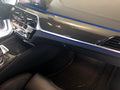 I6- Carbon Interior Leisten BMW G3X LHD