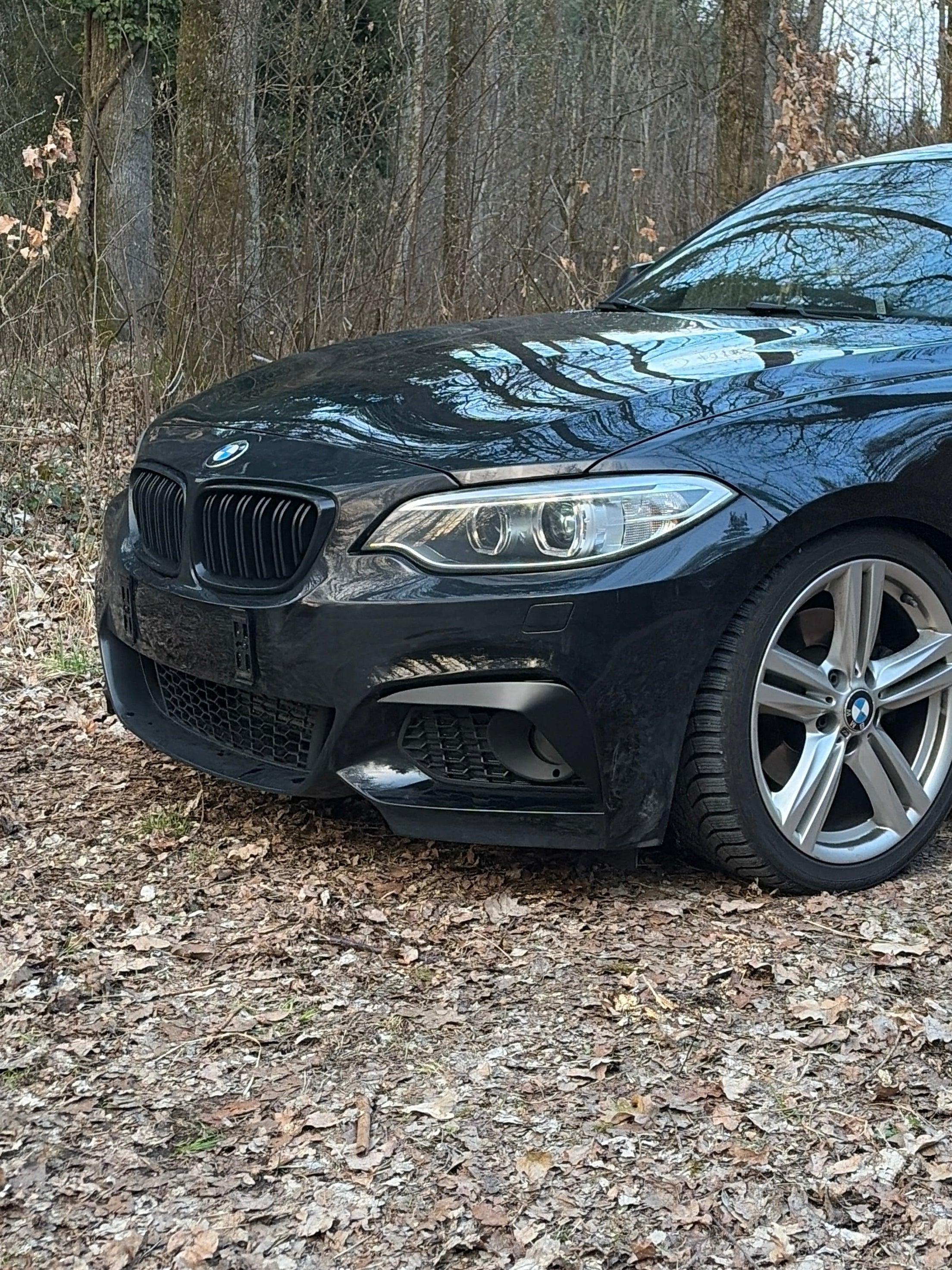 F2X | M2-Optik Flaps